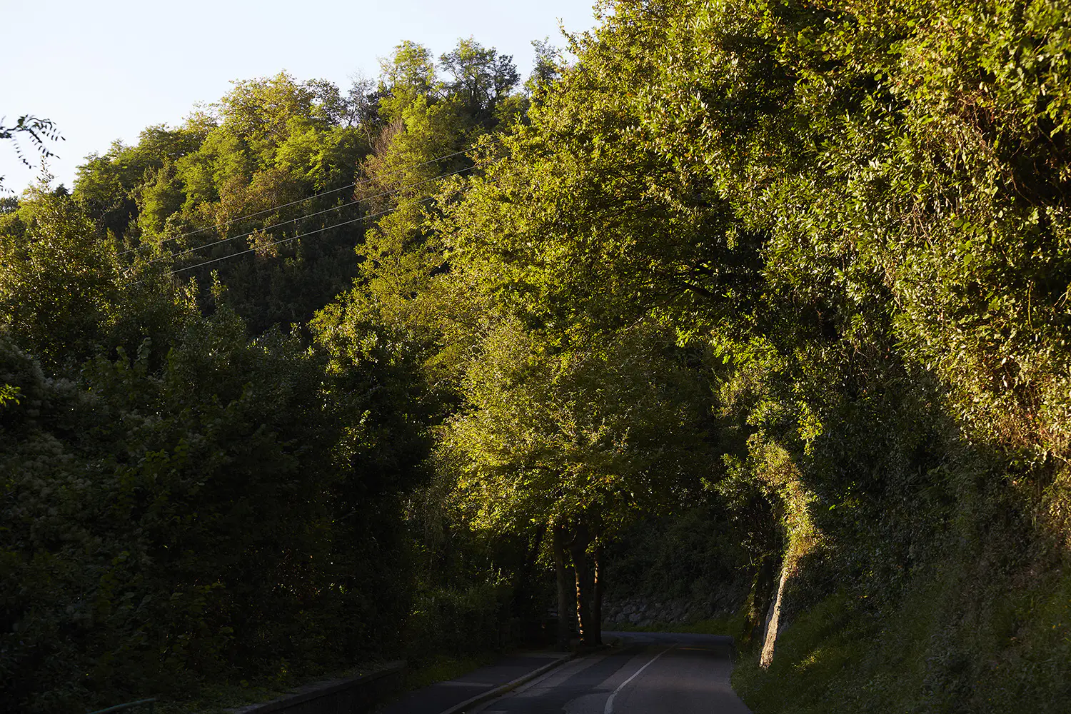 MENDI-ARGIA - Boutique Hotel - San Sebastián - 2.webp